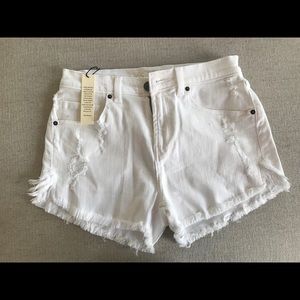 VS High Rise cut offs
